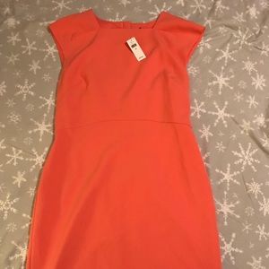 Size 14 NWT banana republic tangerine dress
